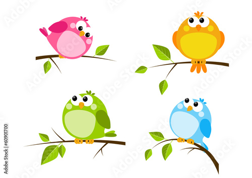 Set of cute color birds
