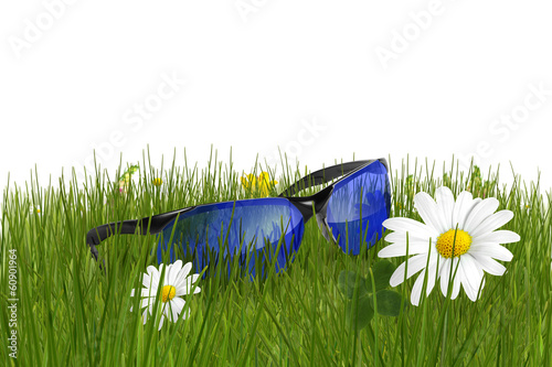 Fototapeta Naklejka Na Ścianę i Meble -  Brille 12