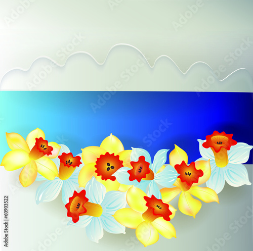 board from daffodils