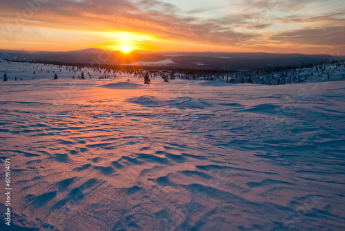 sunset in the tundra photo