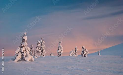 winter tundra at sunrise photo