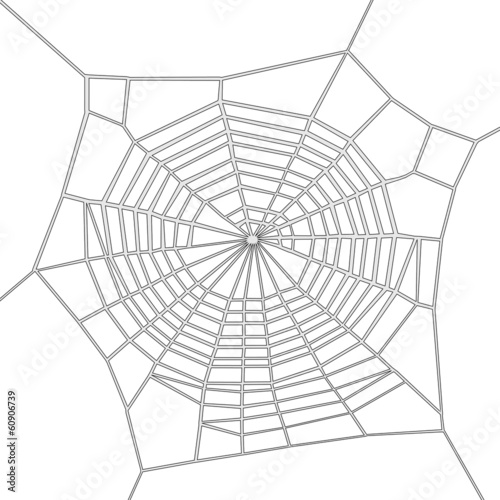 cartoon image of spider web