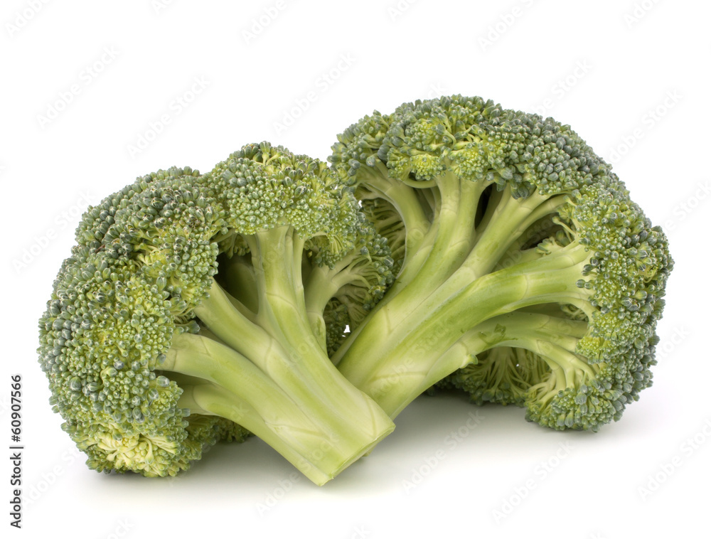 Broccoli vegetable Broccoli vegetable