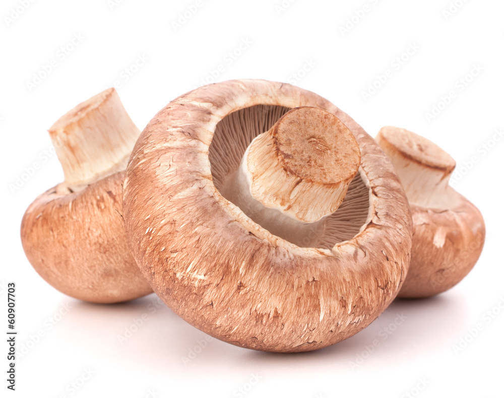 Brown champignon mushroom Brown champignon mushroom