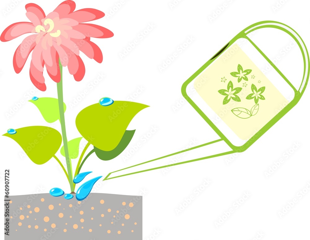 Illustrations with  flower and watering can
