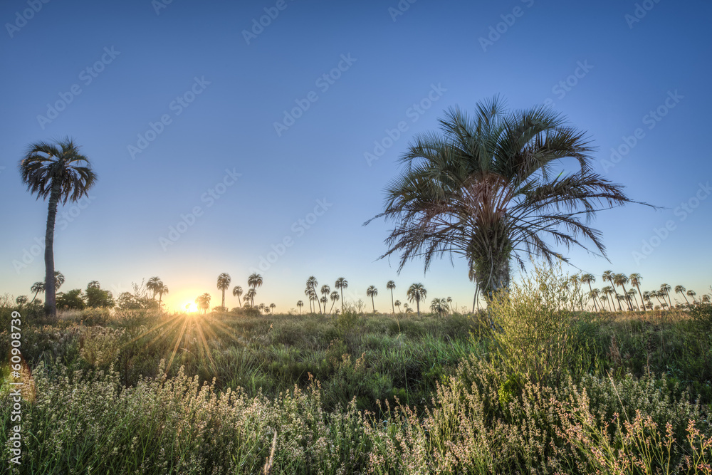 Sunrise on El Palmar National Park, Argentina