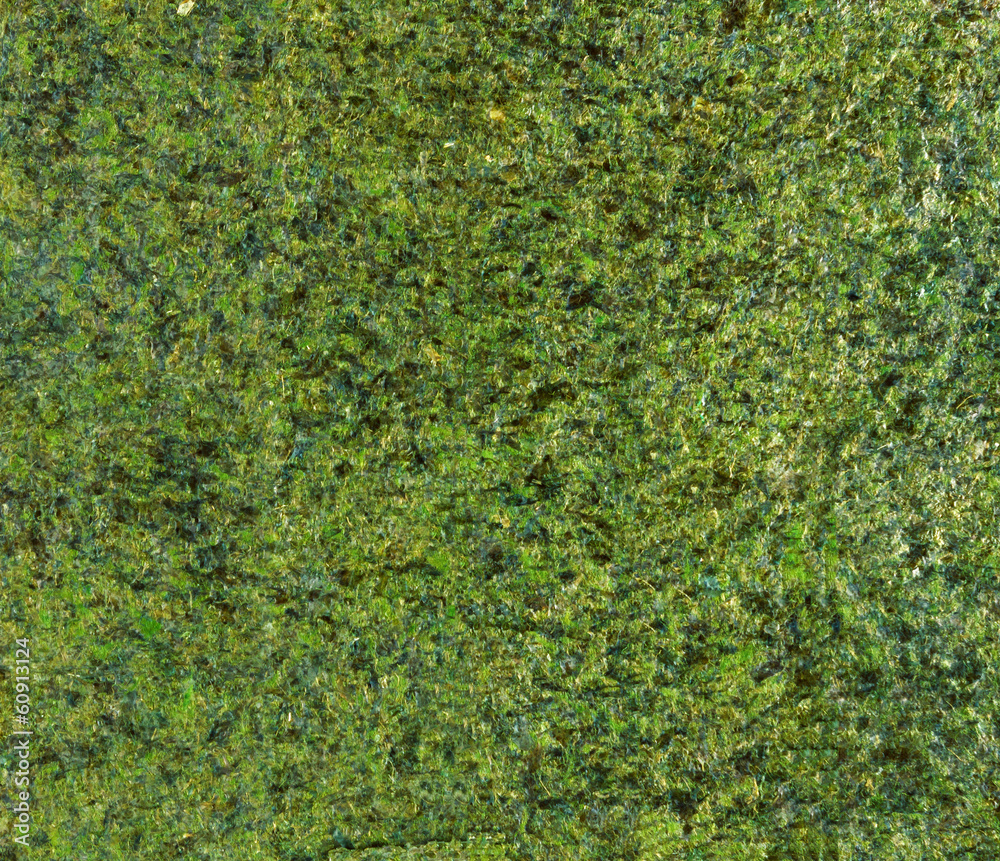 Dried nori alga sheet Dried nori alga sheet