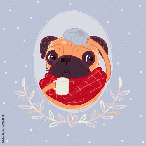 Pug sick