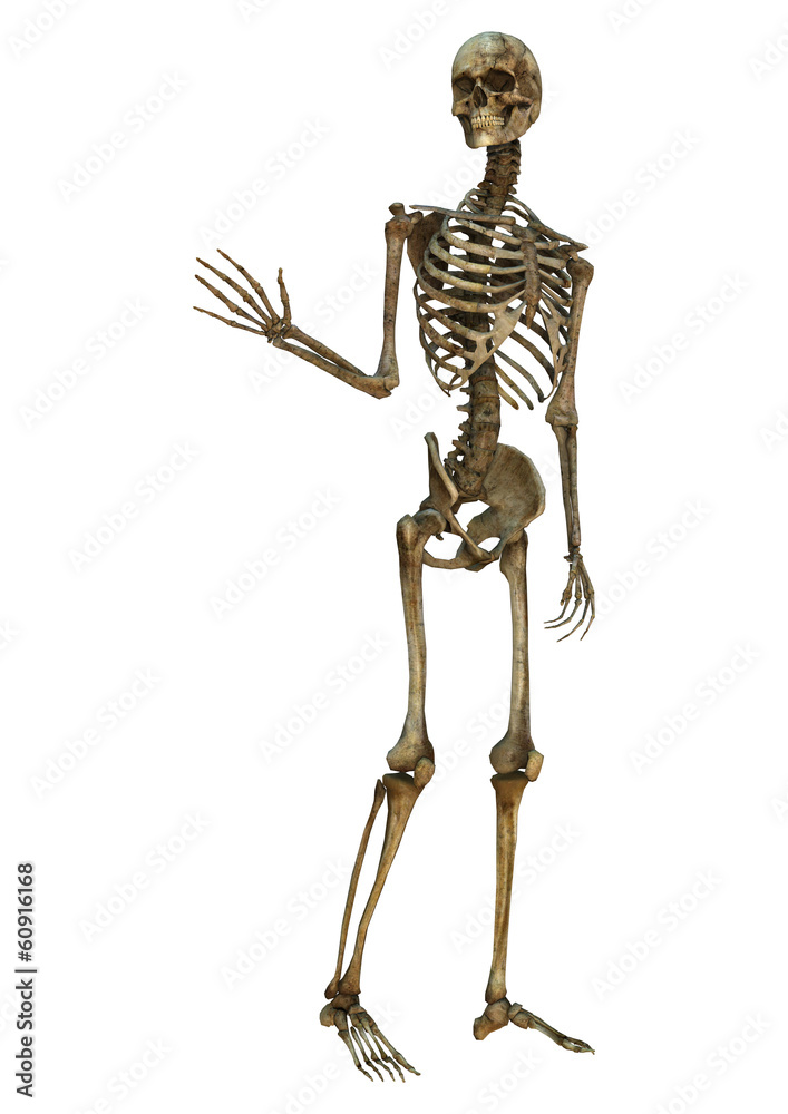 Waving Skeleton