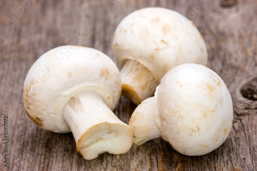 Champignon on the wooden background