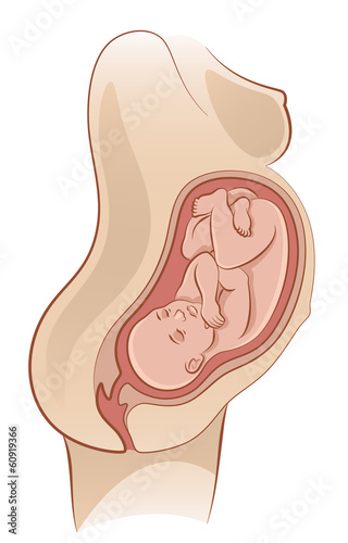 Pregnancy
