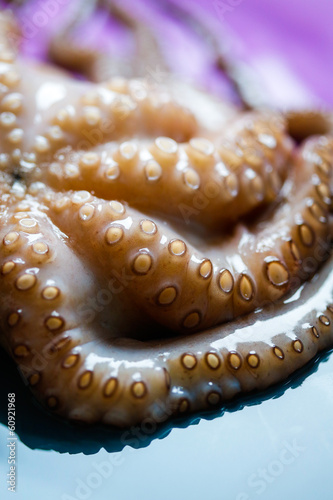 Octopus tentacles close up