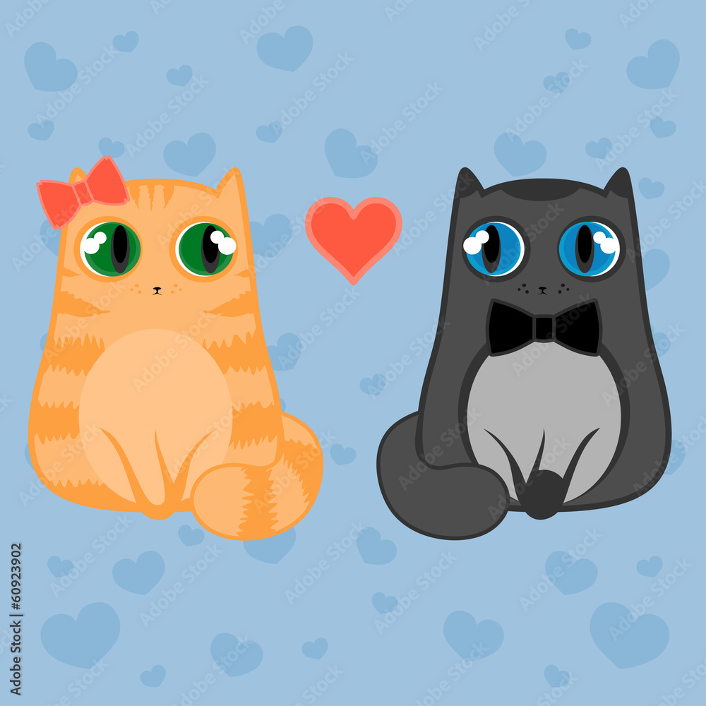 cats cats