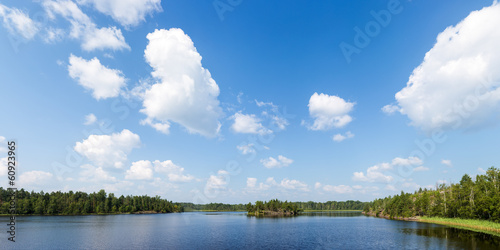 summer landscape