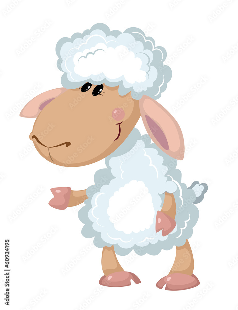 Obraz premium beautiful sheep
