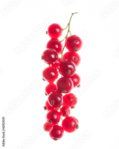 Red currant isolated on white