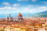 Panorama of Florence and Saint Mary