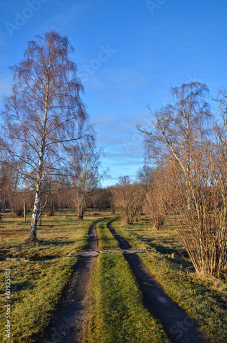 Countryside road