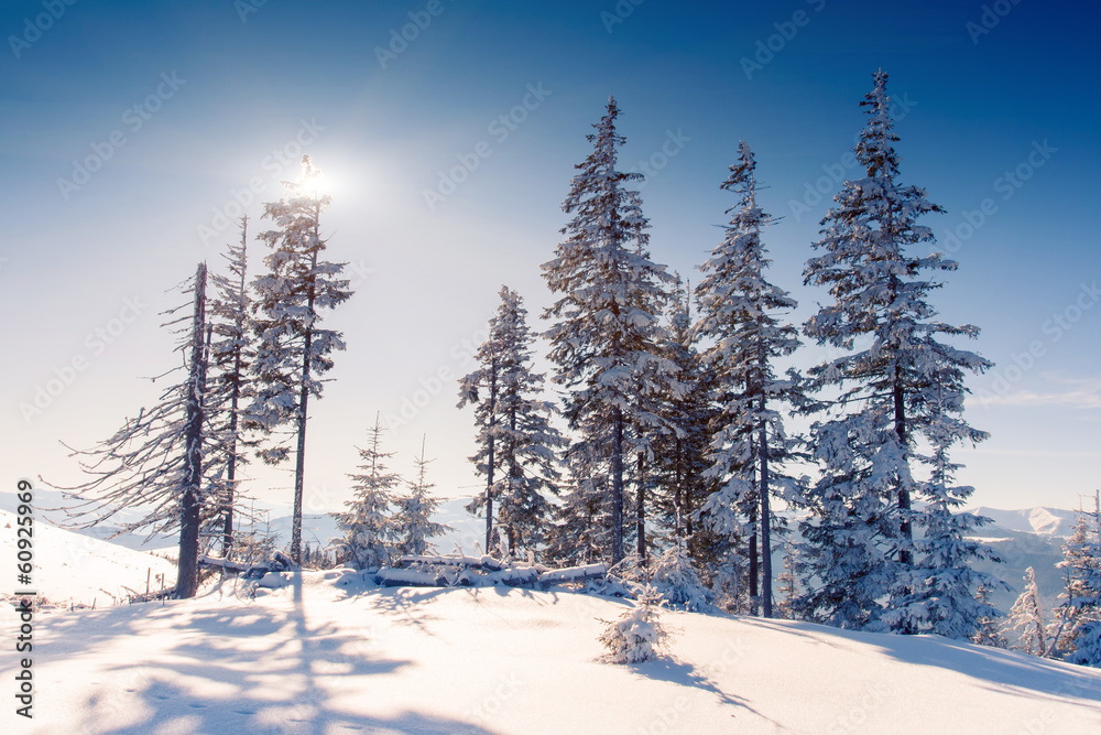 winter