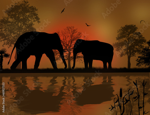 Elephants silhouette in africa