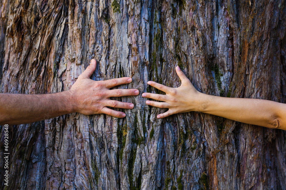 Men's and woman's hands hugging a tree
