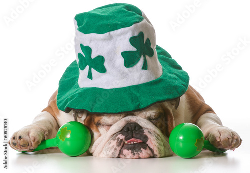 Tapety artystyczne St Patricks Day dog