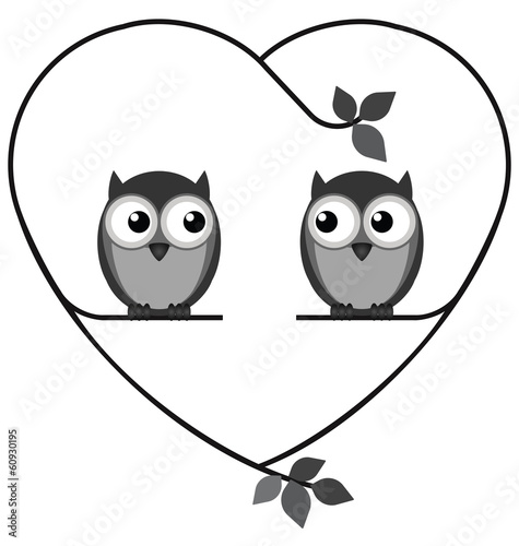 Owl valentine lovers on a heart branch