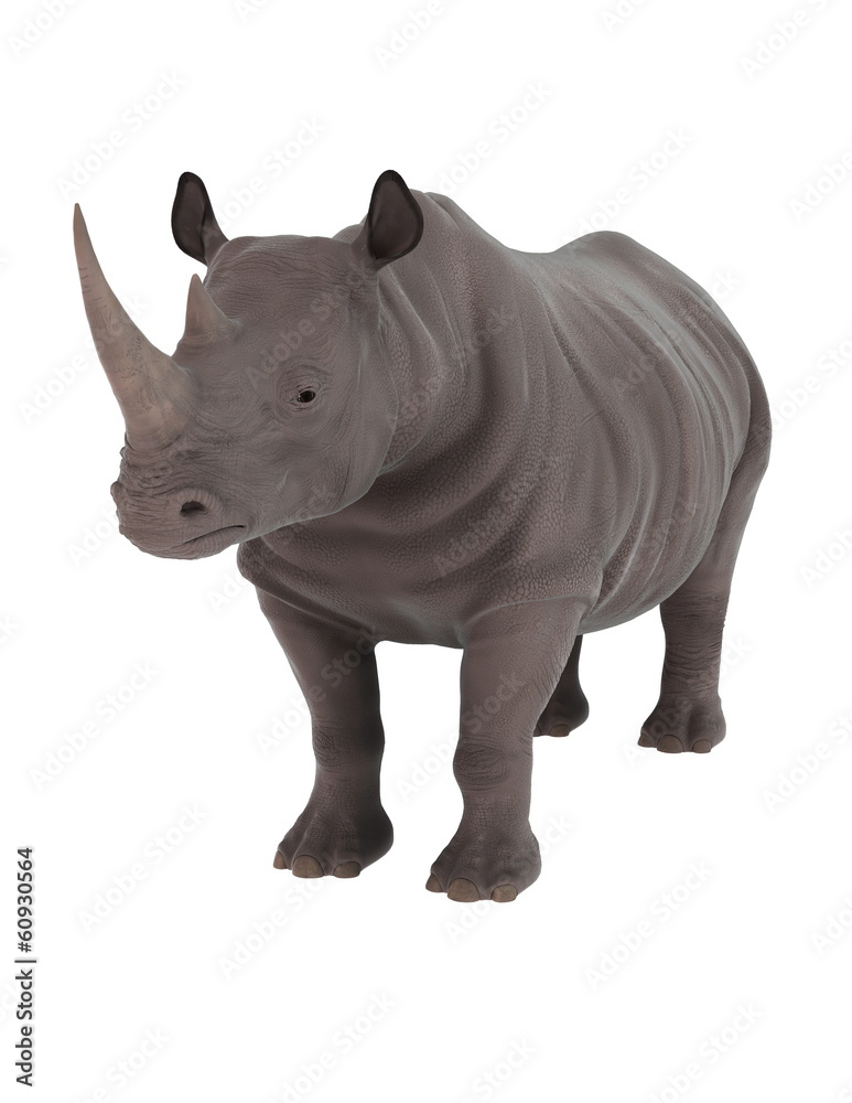サイ サイ