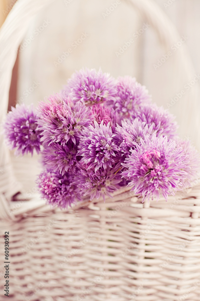 Fresh chives flower