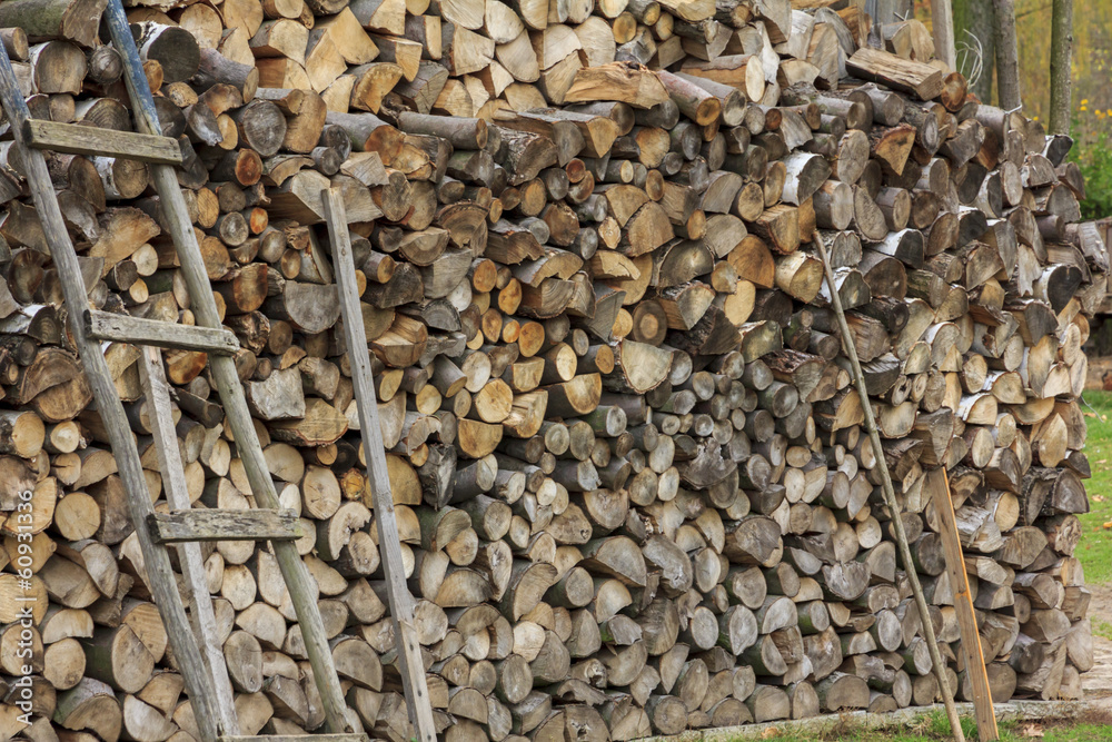 Logs of Wood of Different Kinds, Sizes and Shapes