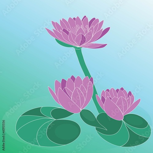 Lotus flower. Hand drawn vector art