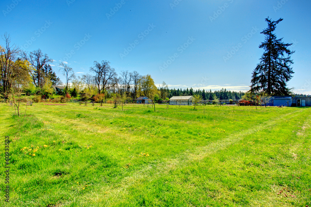 Obraz premium Farm with greenhouse
