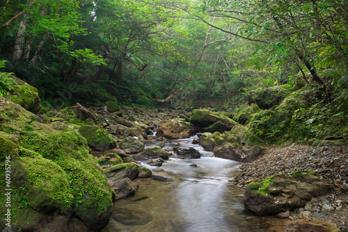 沖縄の清流