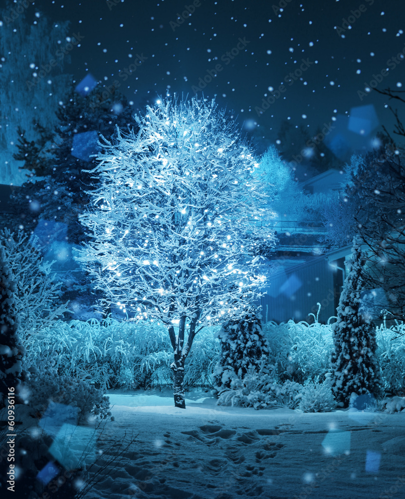 Obraz premium Illuminated tree winter garden snowfall fantasy