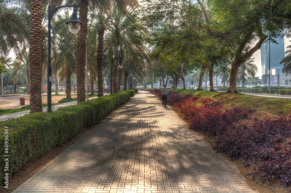 Fototapeta premium Park