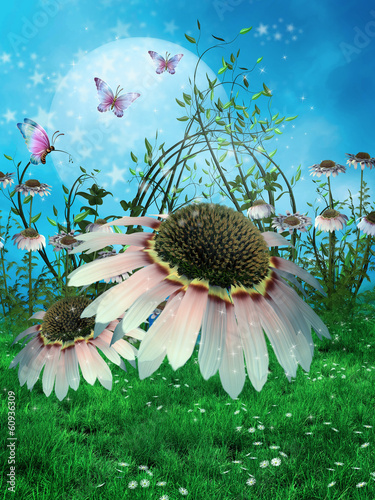 Plakat stokrotka motyl księżyc kwiat