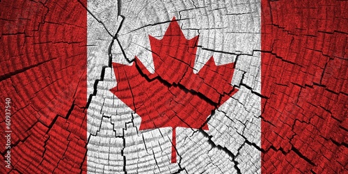 Canada Flag painted on old wood background