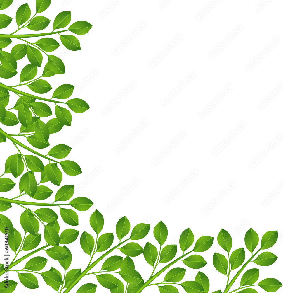 background for a design with green branches