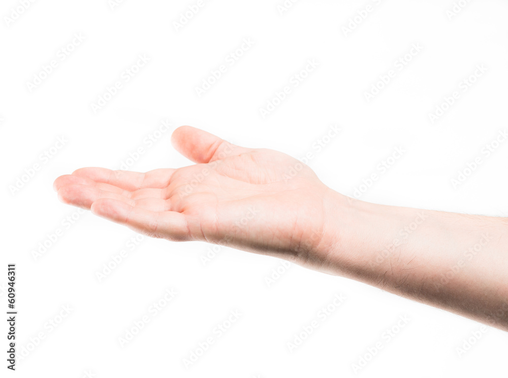 Asking human hand on white background Asking human hand on white background