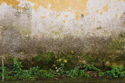 Hintergrund marode Kulisse mit Bodenbewuchs