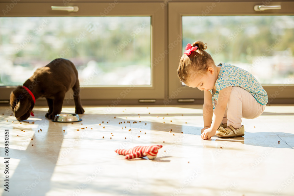 Obraz premium Puppy making a mess with food