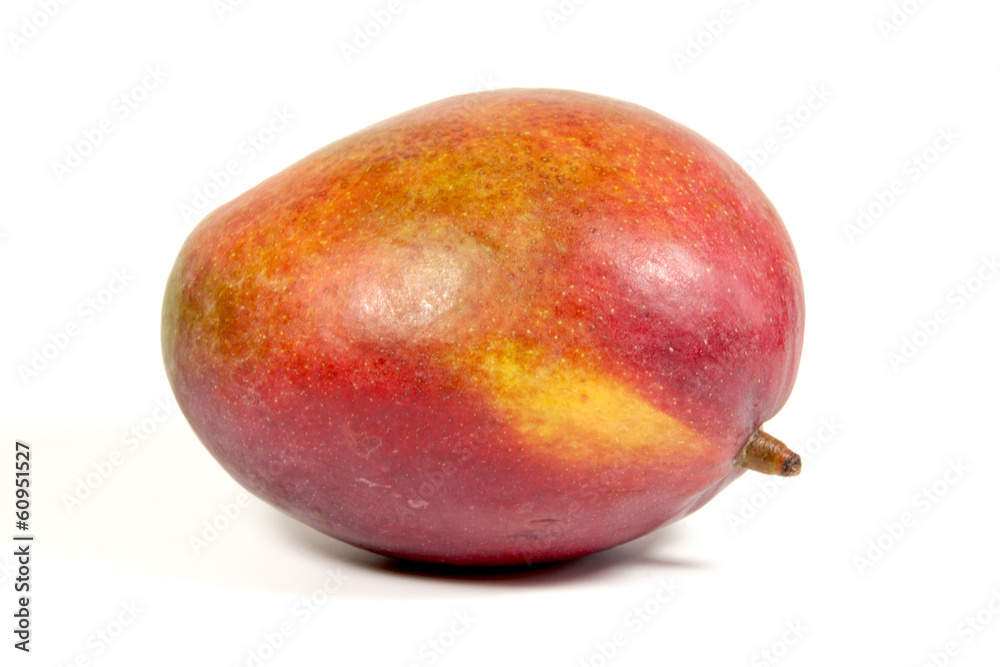 Studio Shot Of Ripe Colorful Tropical Mango Studio Shot Of Ripe Colorful Tropical Mango