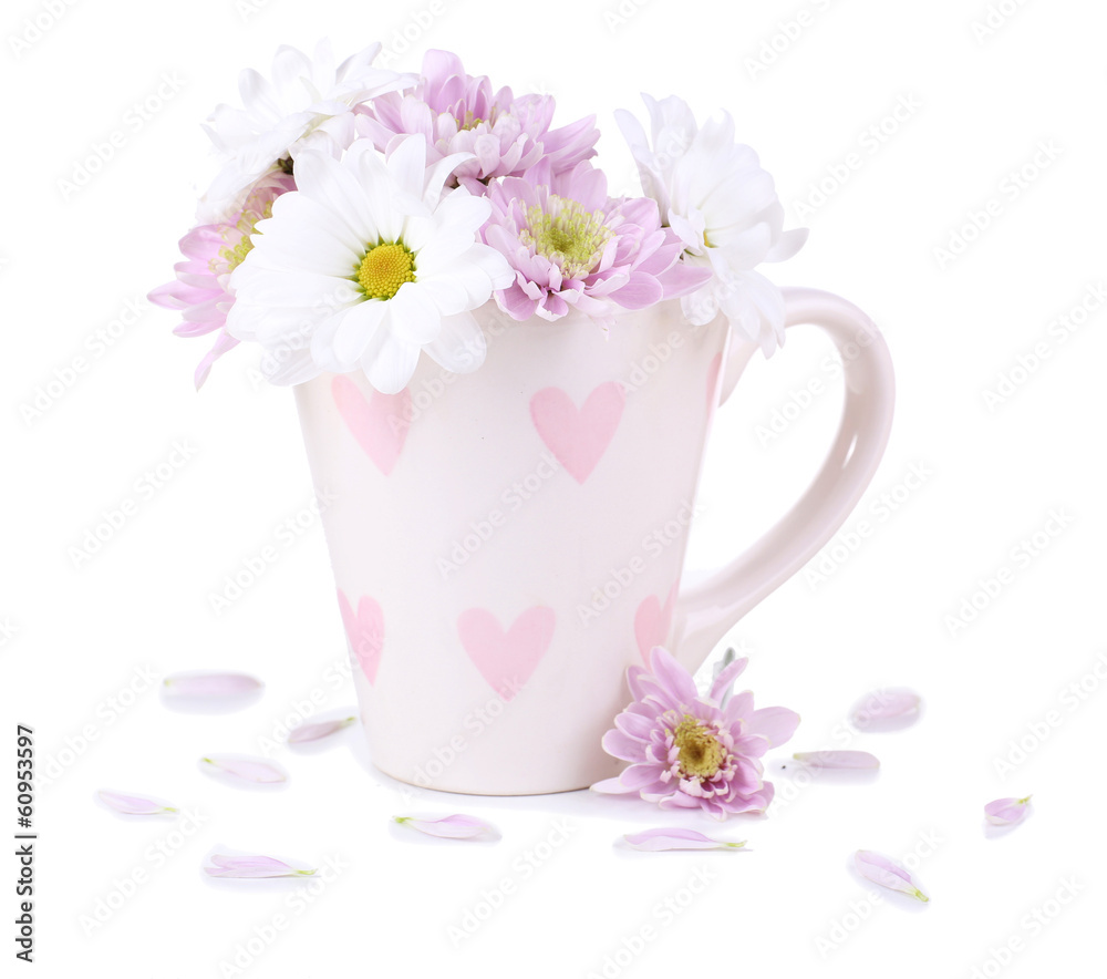 Beautiful chrysanthemum flowers in cup isolated on white Beautiful chrysanthemum flowers in cup isolated on white