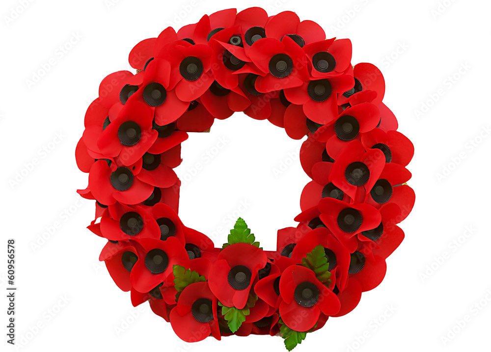 Poppy day great remembrance war world flanders