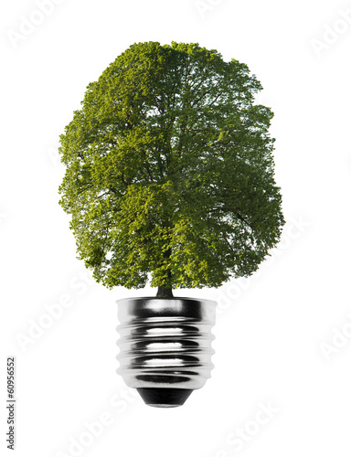 Glühlampe mit Baum