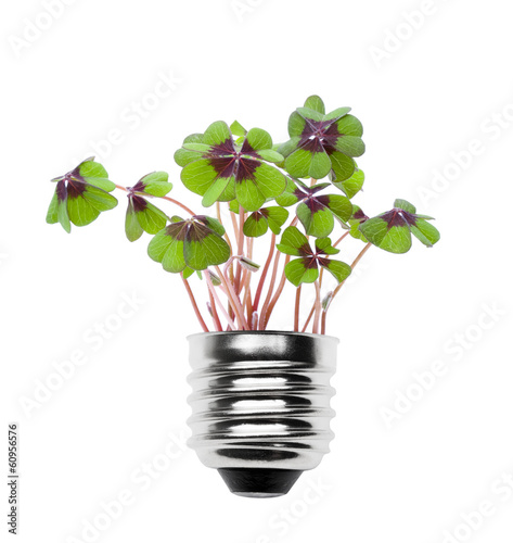 Glühlampe mit Glücksklee