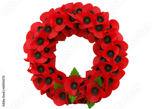 Poppy day great remembrance war world flanders