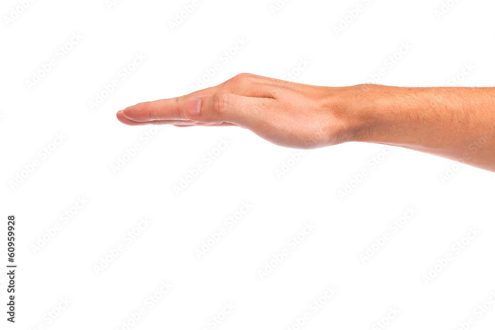 Open palm hand gesture of male hand Open palm hand gesture of male hand