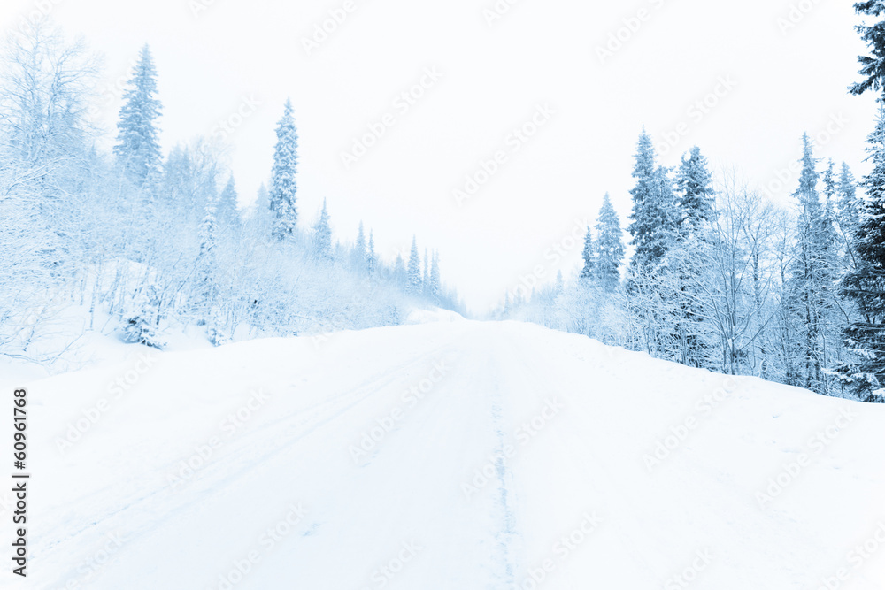 Winter road in a forest