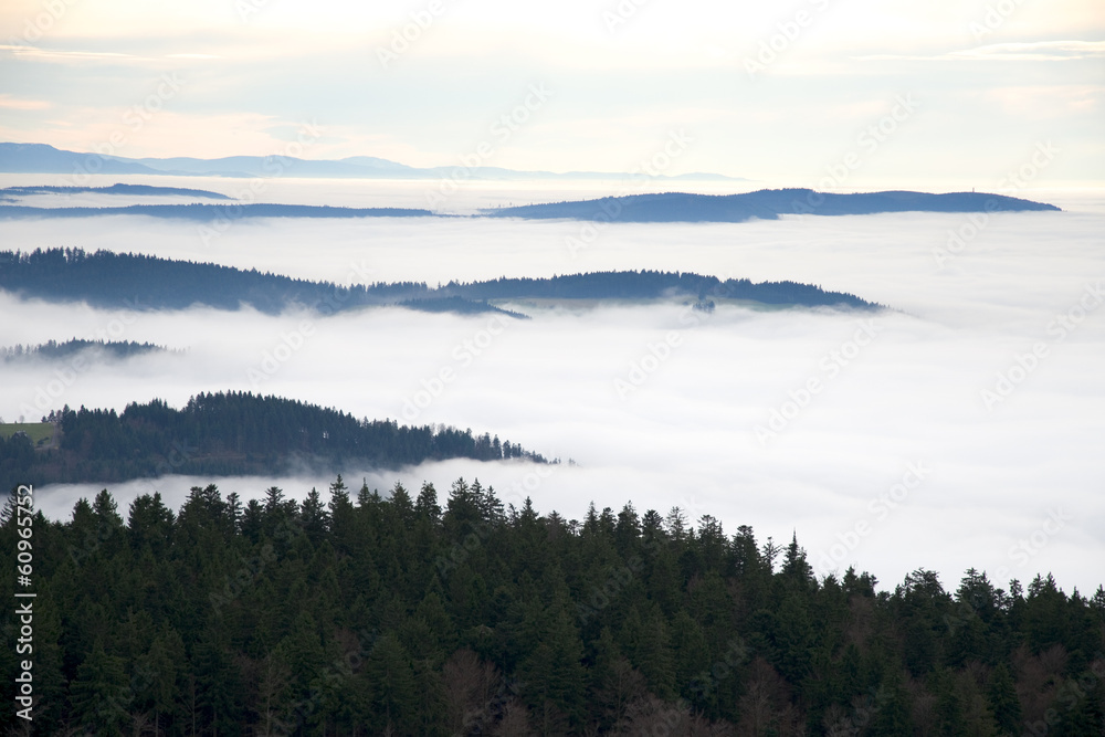 Fototapeta premium Schwarzwald, Black Forest, Germany